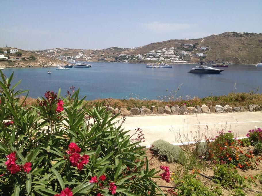 Mykonos TownParis House公寓 外观 照片